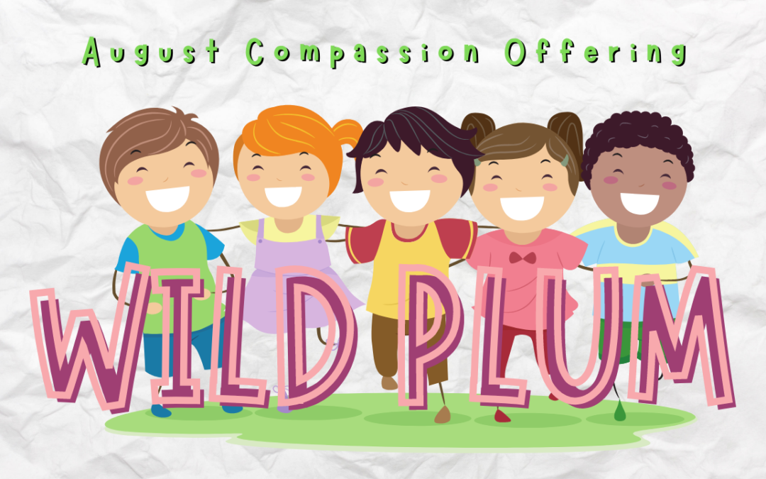 August Compassion Offering – Wild Plum