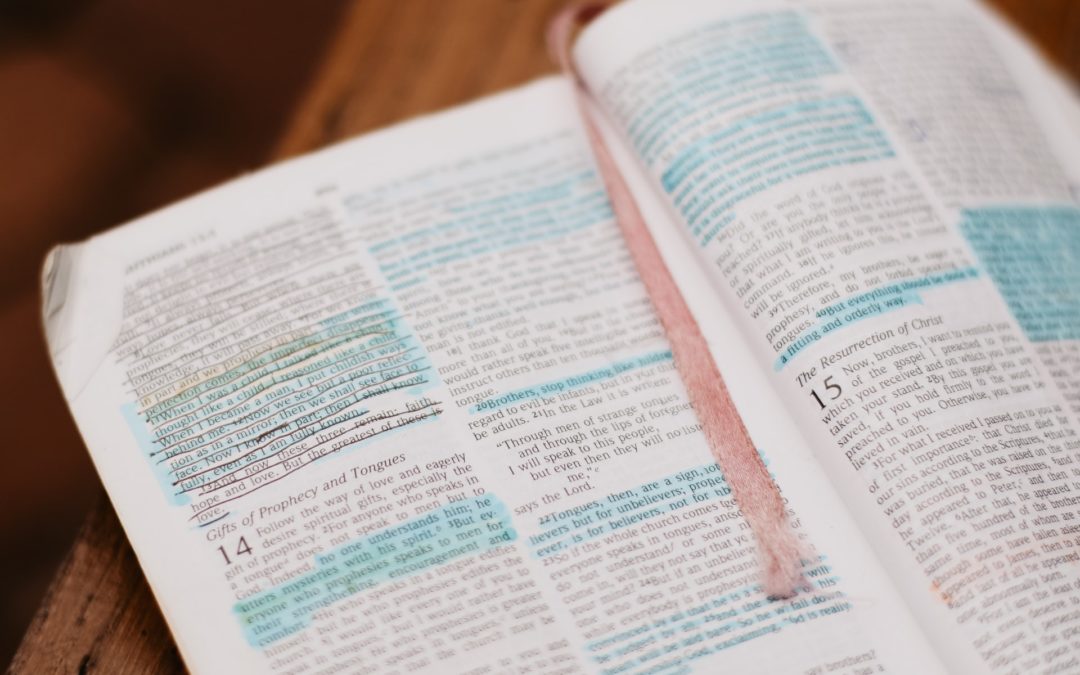 New Faith and Reason Adult Study