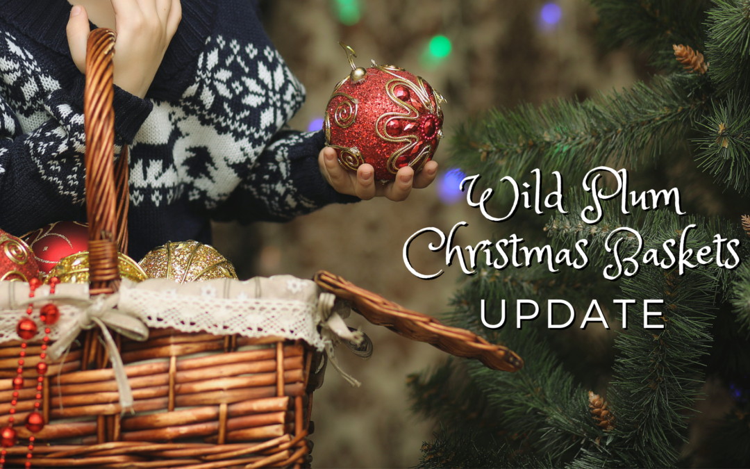 Wild Plum Christmas Baskets Update